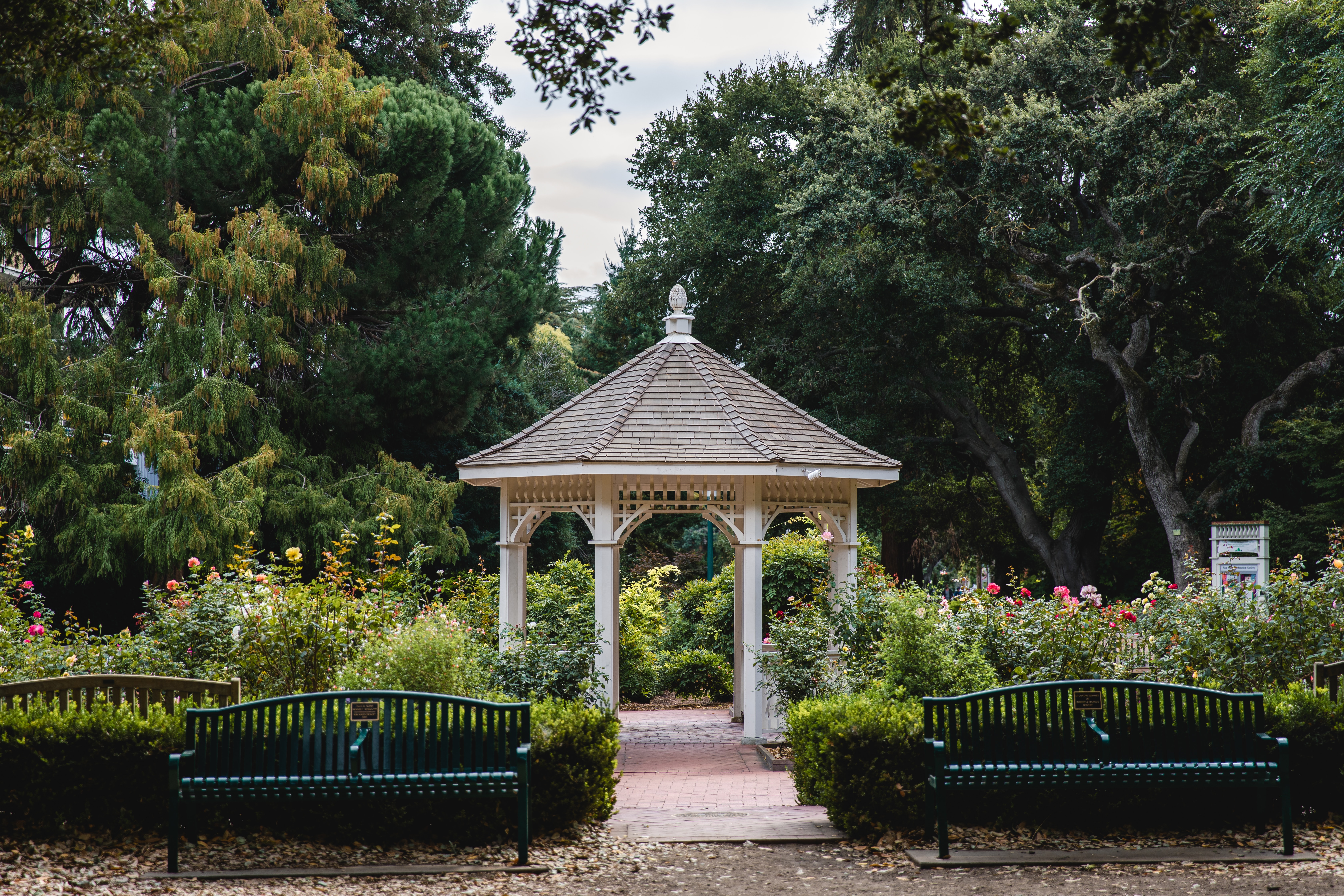 Palm-shaded gazebo in a tranquil park