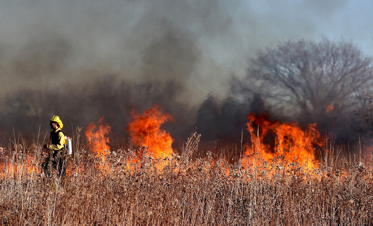 Firefighter battling a California wildfire driving up home insurance costs in Coronado