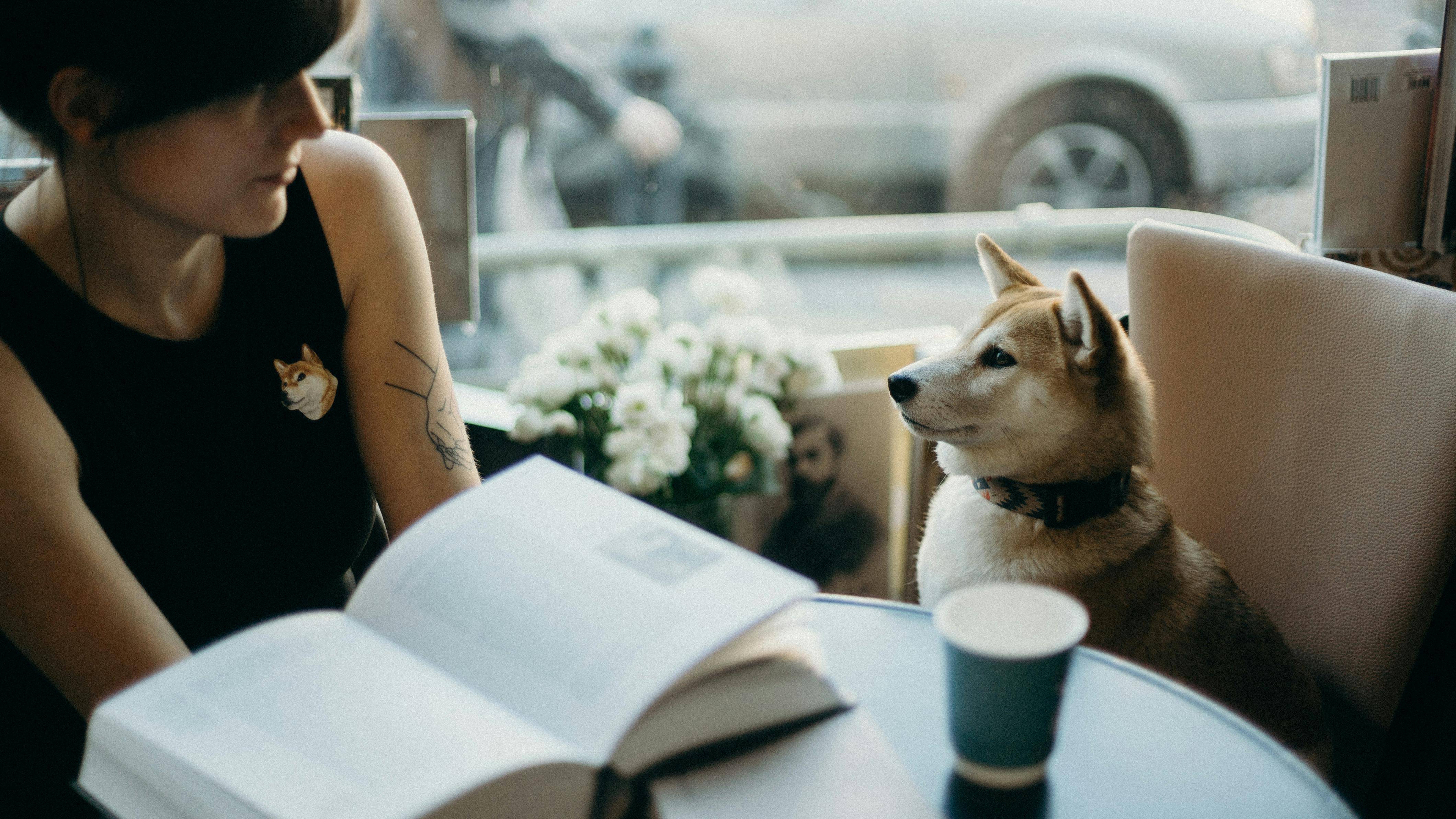 Dog in Coronado cafe with woman and coffee cup